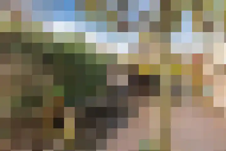 Weidsteeg 12 Culemborg thumbnail 39