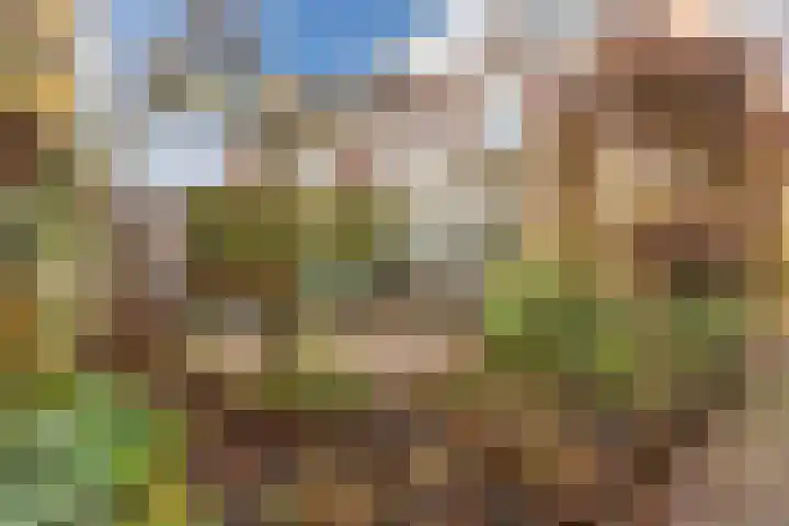 Weidsteeg 12 Culemborg thumbnail 44