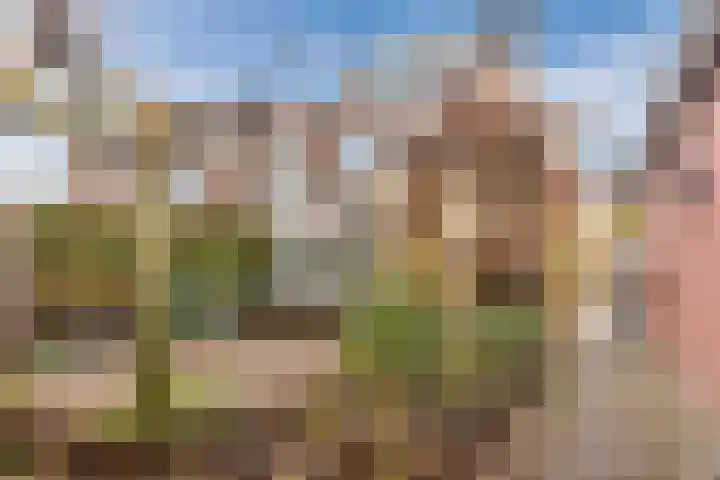Weidsteeg 12 Culemborg thumbnail 45