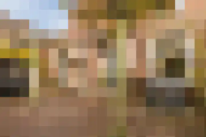 Weidsteeg 12 Culemborg thumbnail 5