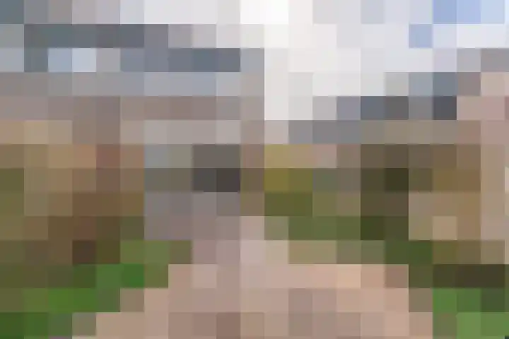 Weigeliadal 1 Leiden thumbnail 27