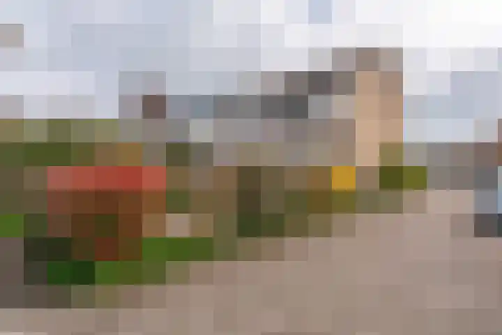Weigeliadal 1 Leiden thumbnail 29