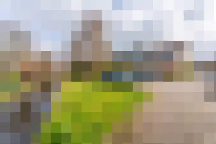 Weigeliadal 1 Leiden thumbnail 31