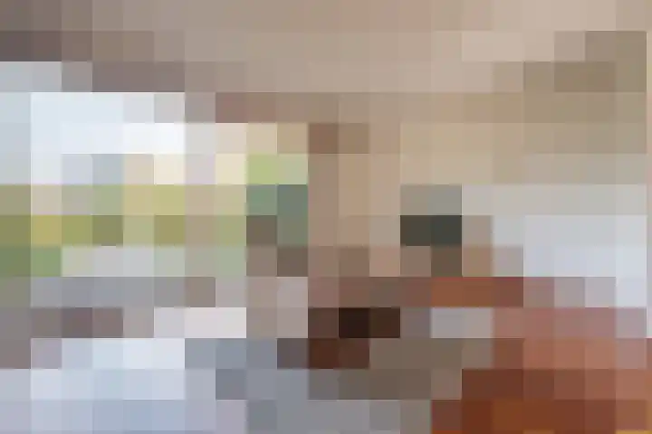 Weigeliadal 1 Leiden thumbnail 4