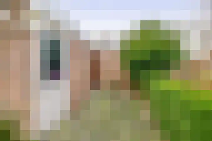 Weigelialaan 31 Pijnacker thumbnail 11
