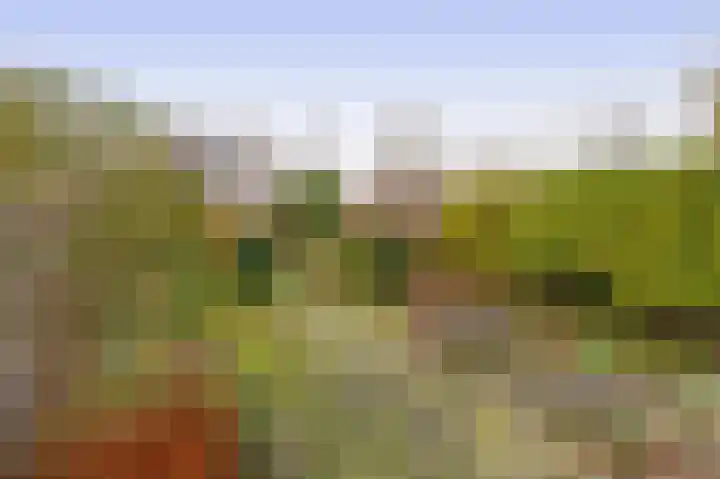 Weigelialaan 31 Pijnacker thumbnail 29