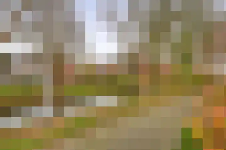 Weigelialaan 31 Pijnacker thumbnail 31