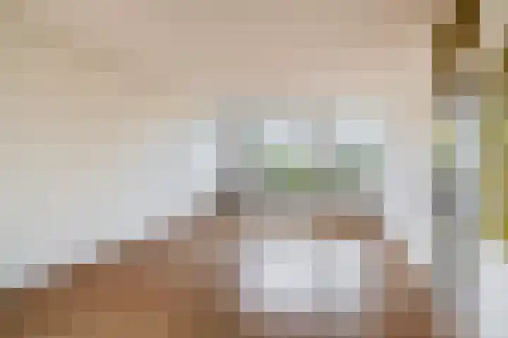 Weigelialaan 31 Pijnacker thumbnail 5