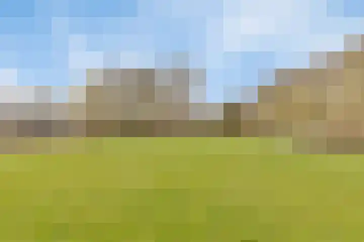 Weigelialaan 38 Rotterdam thumbnail 35