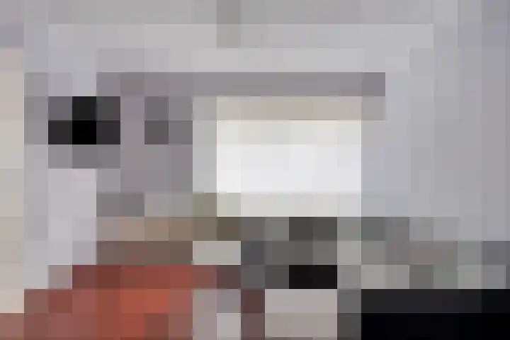 Weigeliastraat 5 Ell thumbnail 10