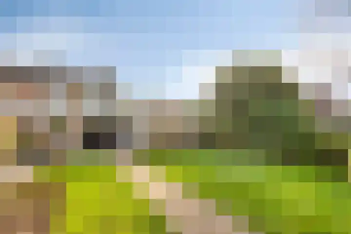 Weigeliastraat 5 Ell thumbnail 29