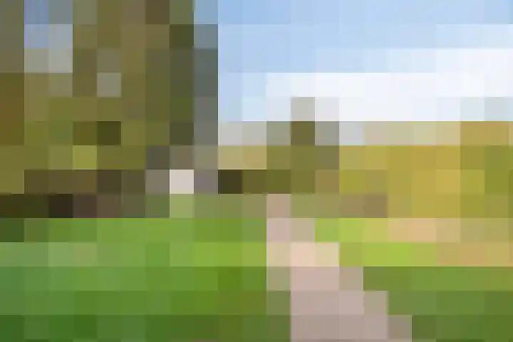 Weigeliastraat 5 Ell thumbnail 30