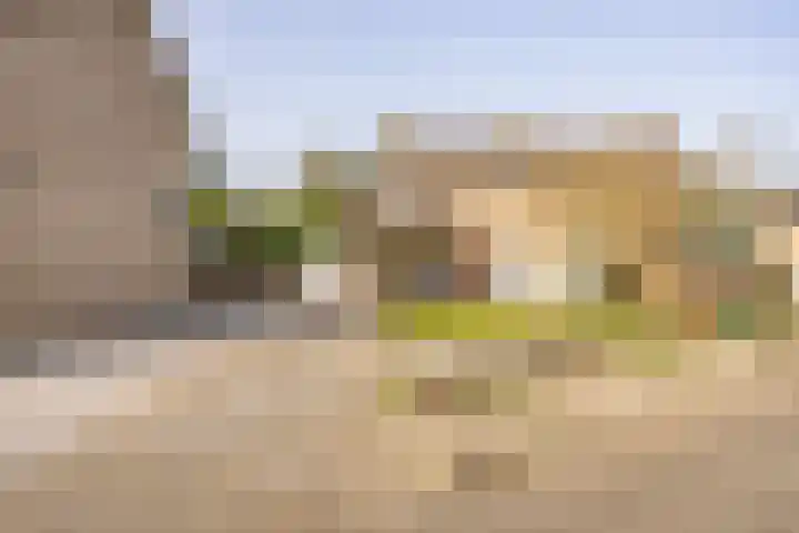 Weigeliastraat 5 Ell thumbnail 31