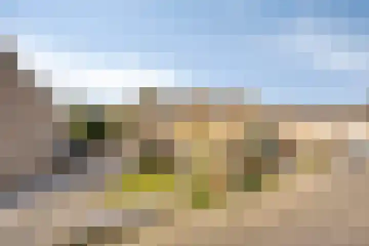 Weigeliastraat 5 Ell thumbnail 32