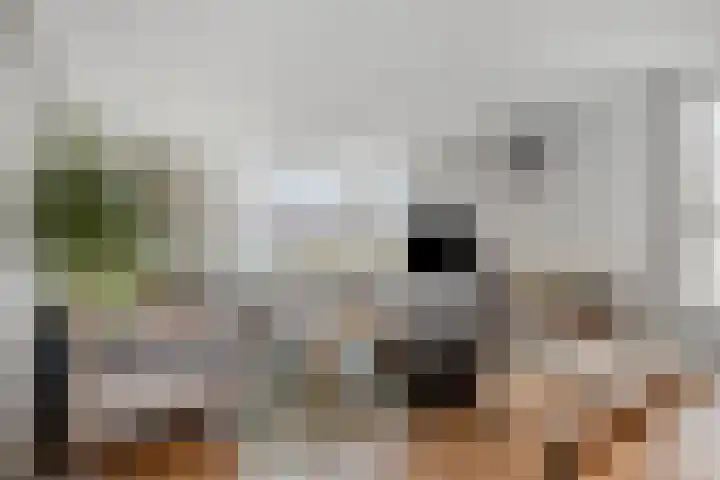 Weijen 30 Nistelrode thumbnail 12