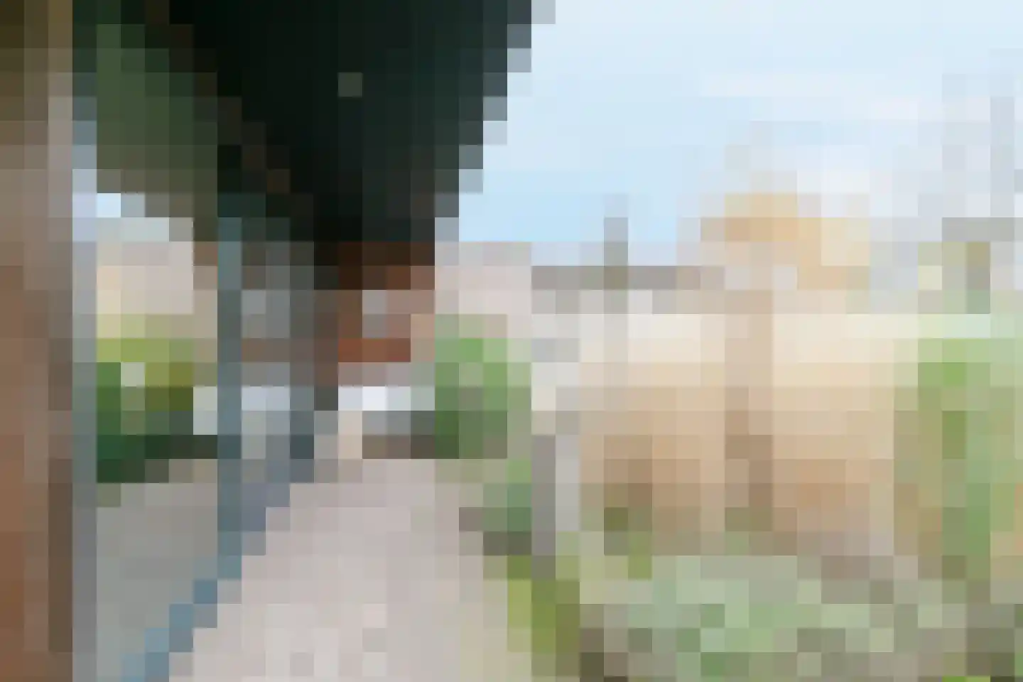 Weijen 30 Nistelrode thumbnail 45