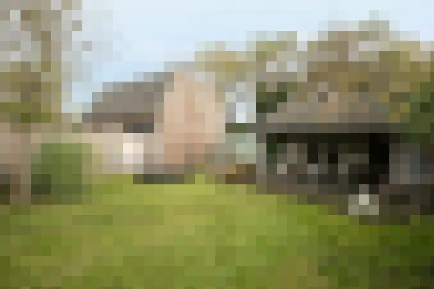 Weijen 30 Nistelrode thumbnail 54