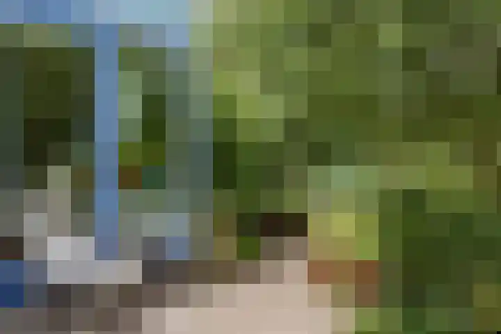 Weijen 30 Nistelrode thumbnail 55