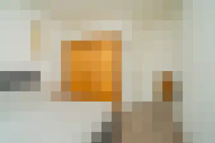 Weijer 6 Milheeze thumbnail 31