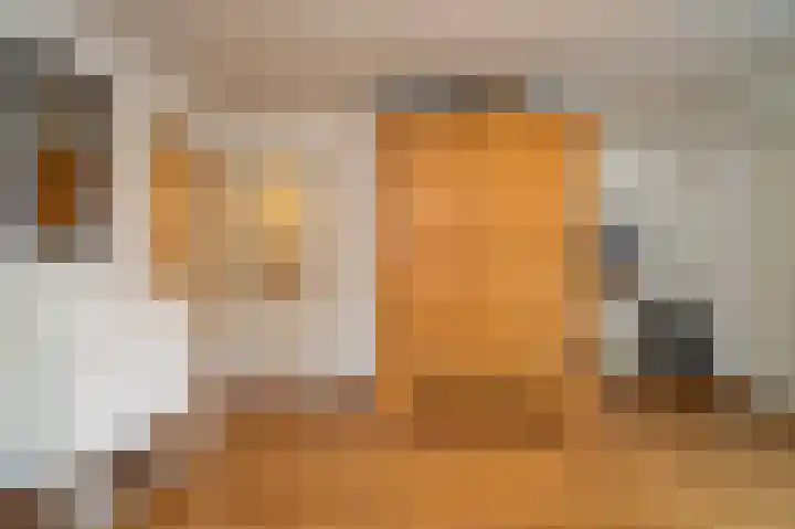 Weijer 6 Milheeze thumbnail 33