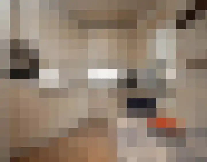 Weijer 6 Milheeze thumbnail 4