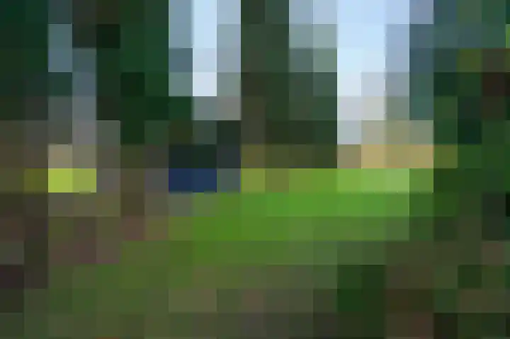 Weijer 6 Milheeze thumbnail 56