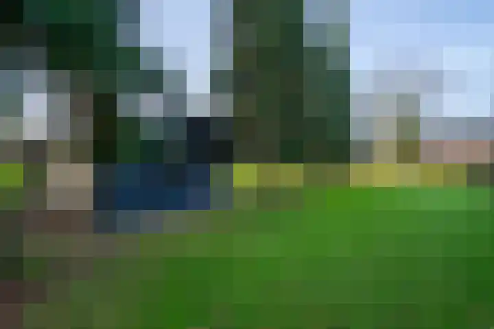 Weijer 6 Milheeze thumbnail 57