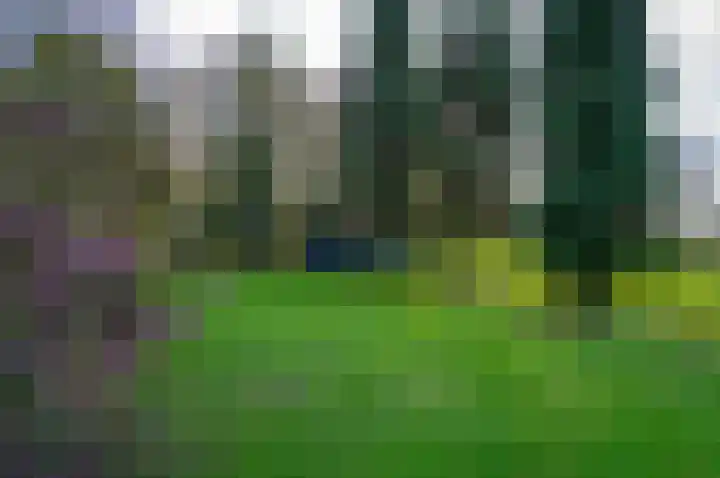 Weijer 6 Milheeze thumbnail 58