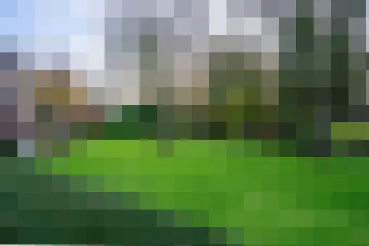 Weijer 6 Milheeze thumbnail 60