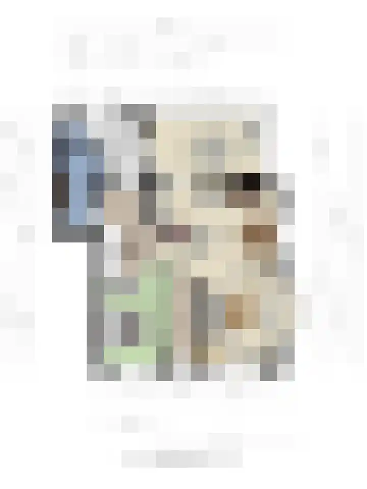Weijer 6 Milheeze thumbnail 63