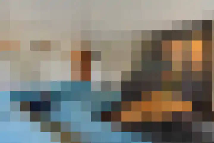 Weijer 8 Milheeze thumbnail 16