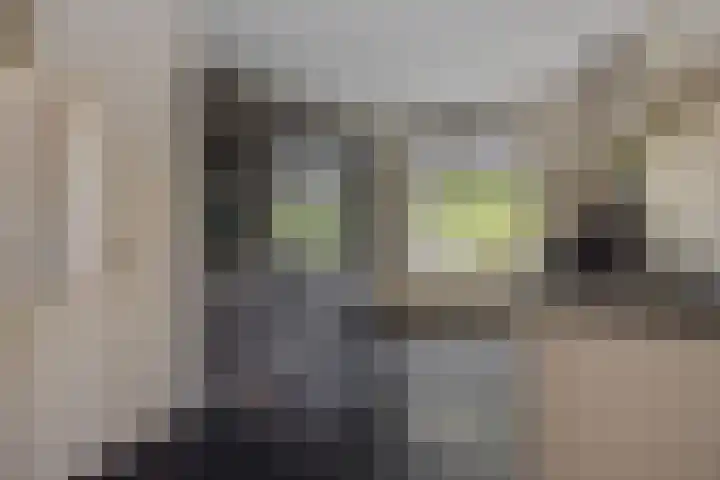 Weijer 8 Milheeze foto 2