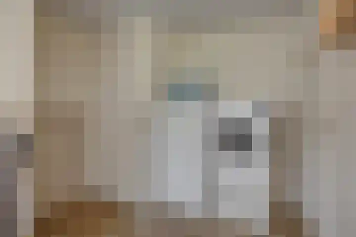 Weijer 8 Milheeze thumbnail 22
