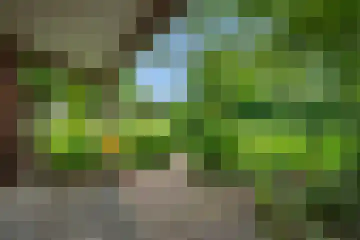 Weijer 8 Milheeze thumbnail 35