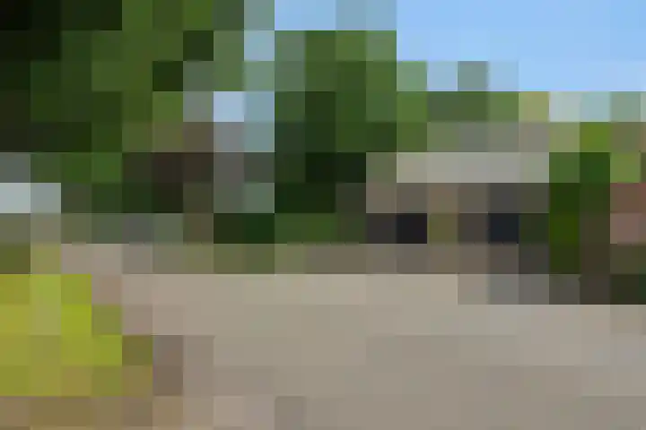 Weijer 8 Milheeze thumbnail 39