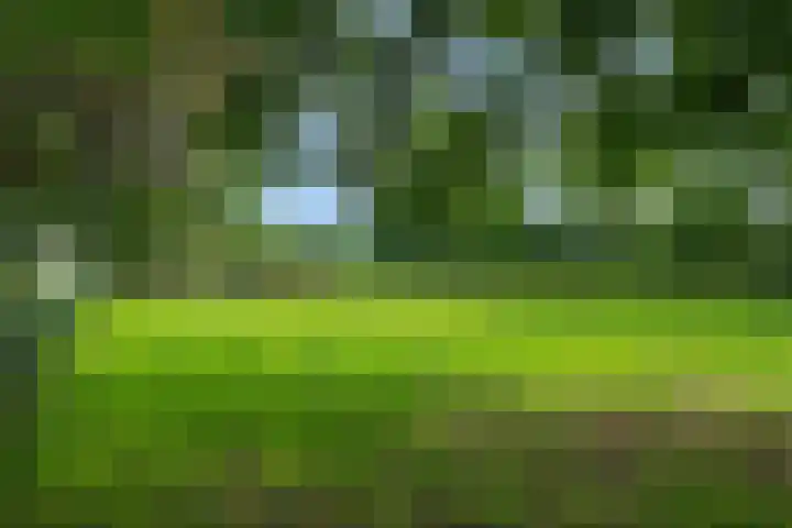 Weijer 8 Milheeze thumbnail 43