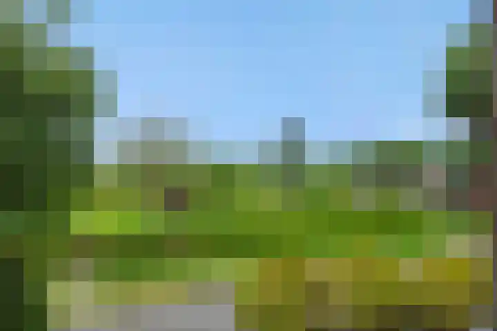 Weijer 8 Milheeze thumbnail 48