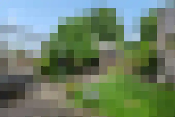 Weijer 8 Milheeze thumbnail 5