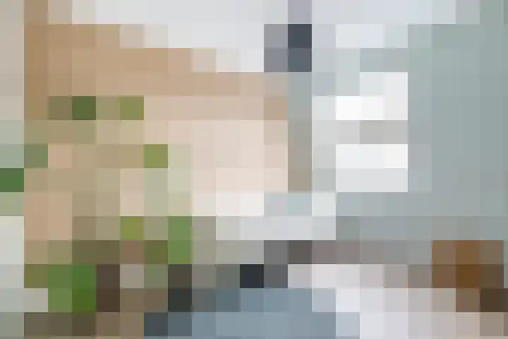 Weijland 5 Spierdijk thumbnail 34