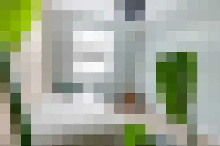 Weijland 5 Spierdijk thumbnail 35