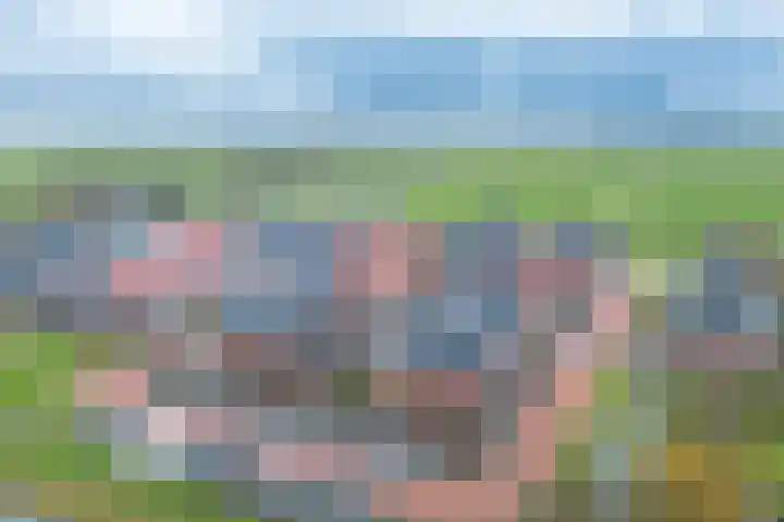 Weijland 5 Spierdijk thumbnail 51