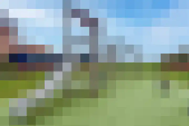 Weijland 5 Spierdijk thumbnail 52
