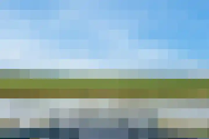 Weijland 5 Spierdijk thumbnail 55