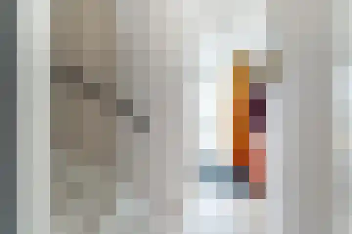 Weijland 5 Spierdijk thumbnail 6
