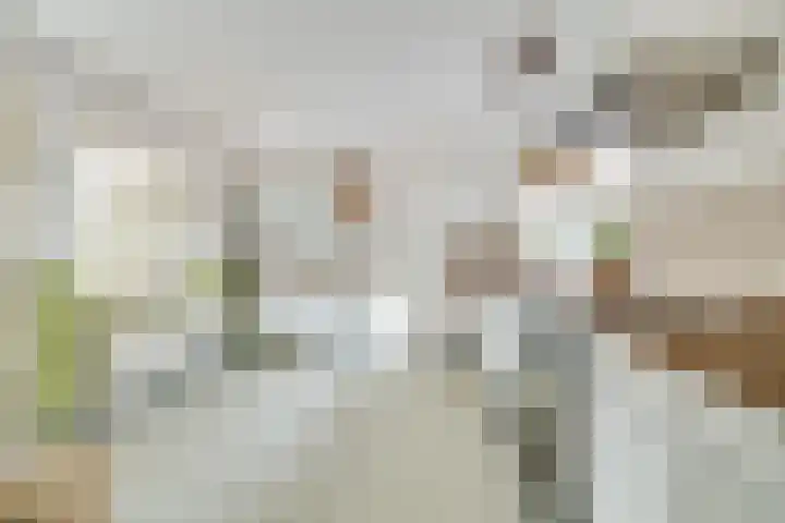Weikamperweg 120 Hoenderloo thumbnail 15