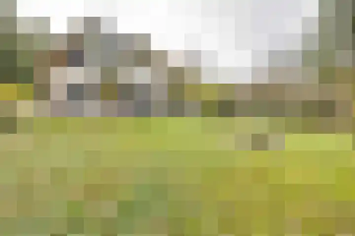 Weikamperweg 120 Hoenderloo foto 2