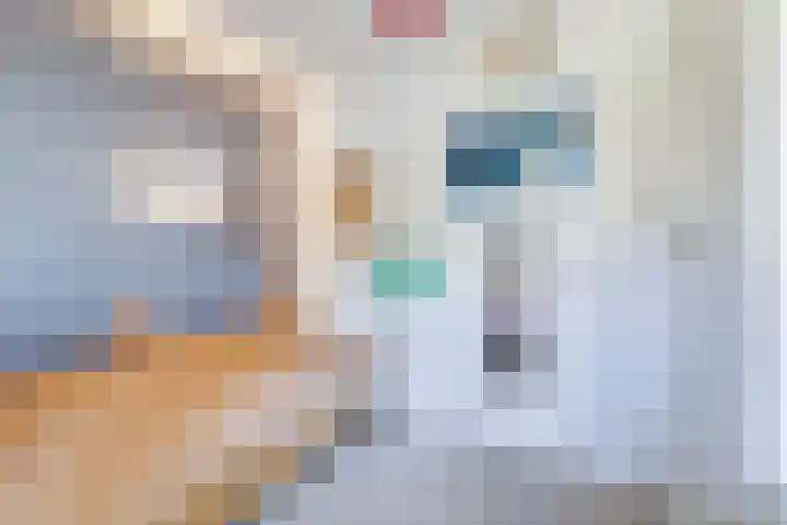 Weikamperweg 120 Hoenderloo thumbnail 33