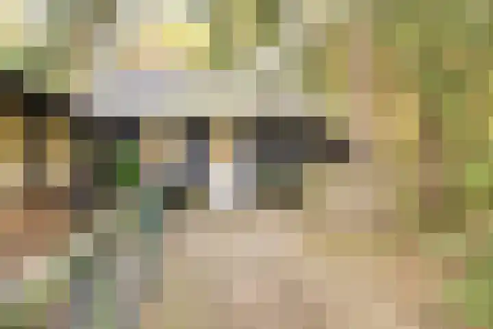 Weikamperweg 120 Hoenderloo thumbnail 46