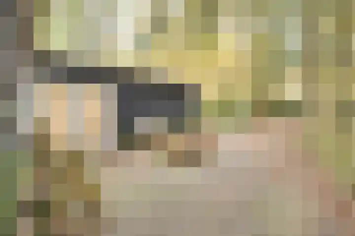 Weikamperweg 120 Hoenderloo thumbnail 47