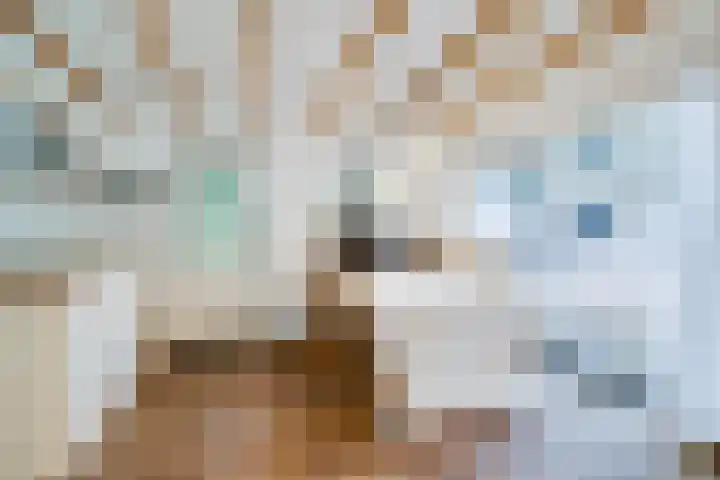 Weikamperweg 120 Hoenderloo thumbnail 48